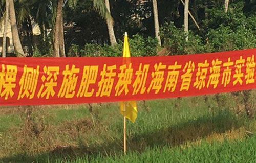 德棵插秧機(jī)